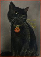 Black Kitty