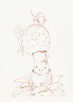 More snails and mushrooms