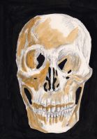 Skull