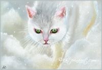 Walking in the snow