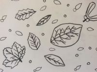 Leaves