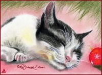 Merry Kitty Christmas