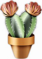 Cactus blossom