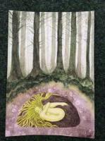 Under the forest floor
