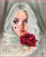 Crimson and Clover