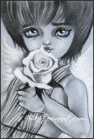 Angel boy white rose