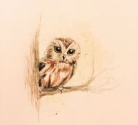 Whoo are you?