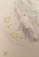 Beautiful Butterflies