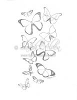 Beautiful Butterflies