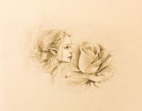 Rose Fairy