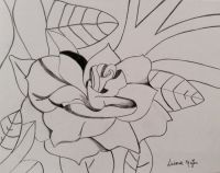 Gardenia