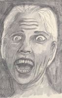 Fear