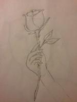Pricked by a rose