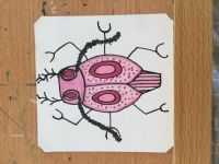 Pink Bug