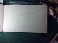 There\'s a whale, there\'s a whale ...
