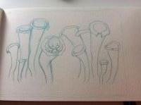 Trumpets