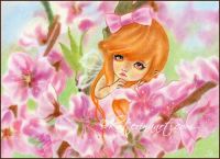 Hiding among the cherry blossoms