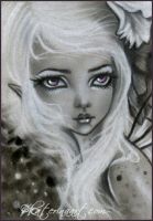 Moonlight Fairy