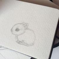 Velvet rabbit