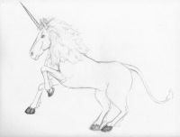 The First Unicorn