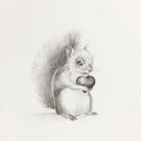 Nuts about you