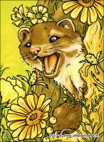 Among the flowers