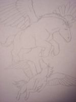 Pegasi