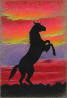 Unbridled