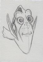 Dory