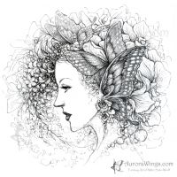Black Butterfly