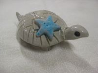 Lost Starfish