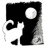 Moon Kitty