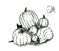 Pumpkin Kitty