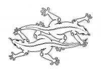 SalamanderS