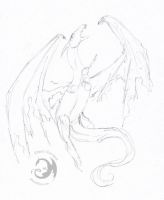Torn Wings