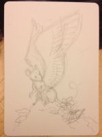 ACEO surprised to fly