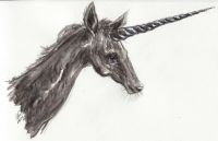 Black unicorn