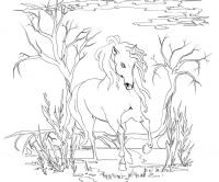 A Horse of a Sinister Colour
