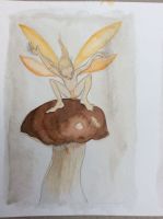The orange fairy