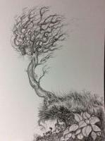 Dryad