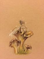 Chanterelles