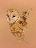 Owl Rider