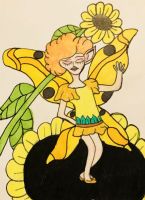 Daisy Fairy