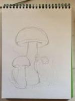 Mushroom coloring page
