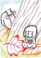 Nutty Squirrels