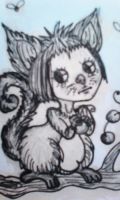 Ardilla