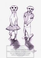 Meerkat Ballet