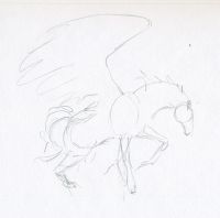 Black Pegasus