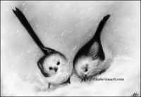 Snowy Birds