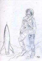 Goodbye space program